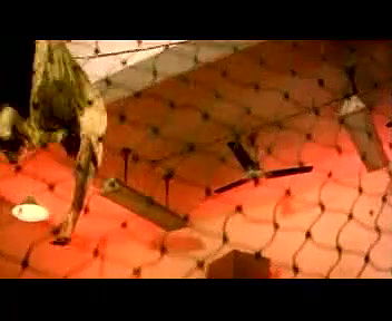 NISSA SURABHIKAL Full Movie (Vahini)