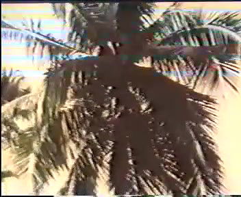 Old Mallu Compilations Uncensored