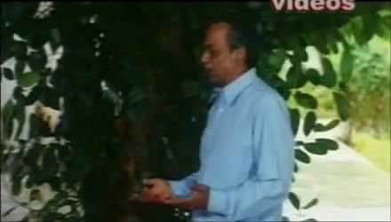 Oyyaripapa Nishabdam Telgu Dubbed Mallu Movie