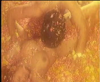 Pratibha Enjoying in FN