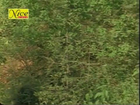 Pyaasa Jism Mallu B Grade Movie