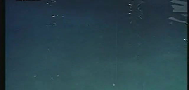 Roshini Outdoor Swimming Pool Sex.AVI