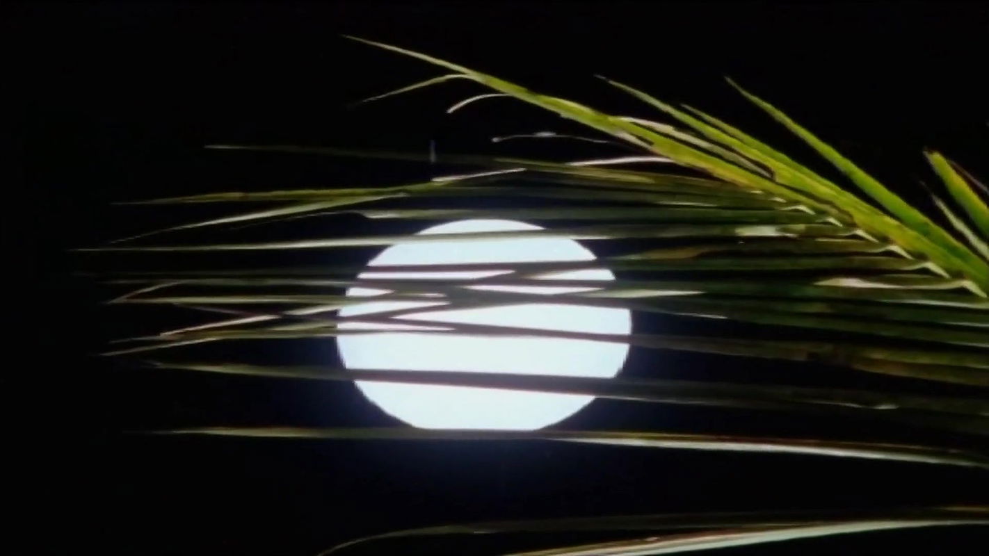 Sudhashree Hot Compile