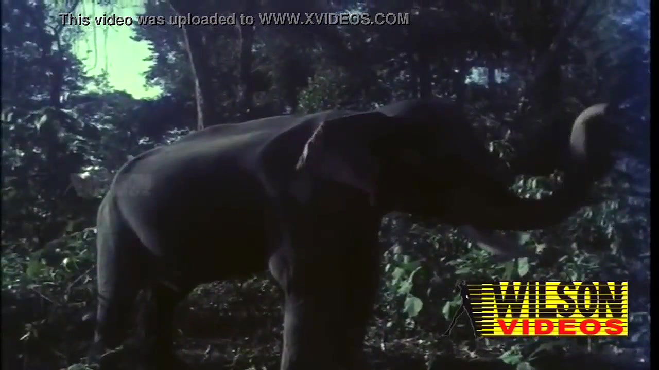 xvideos.com_964dd4d32569f5c0ed4ed21c2676dac4 1