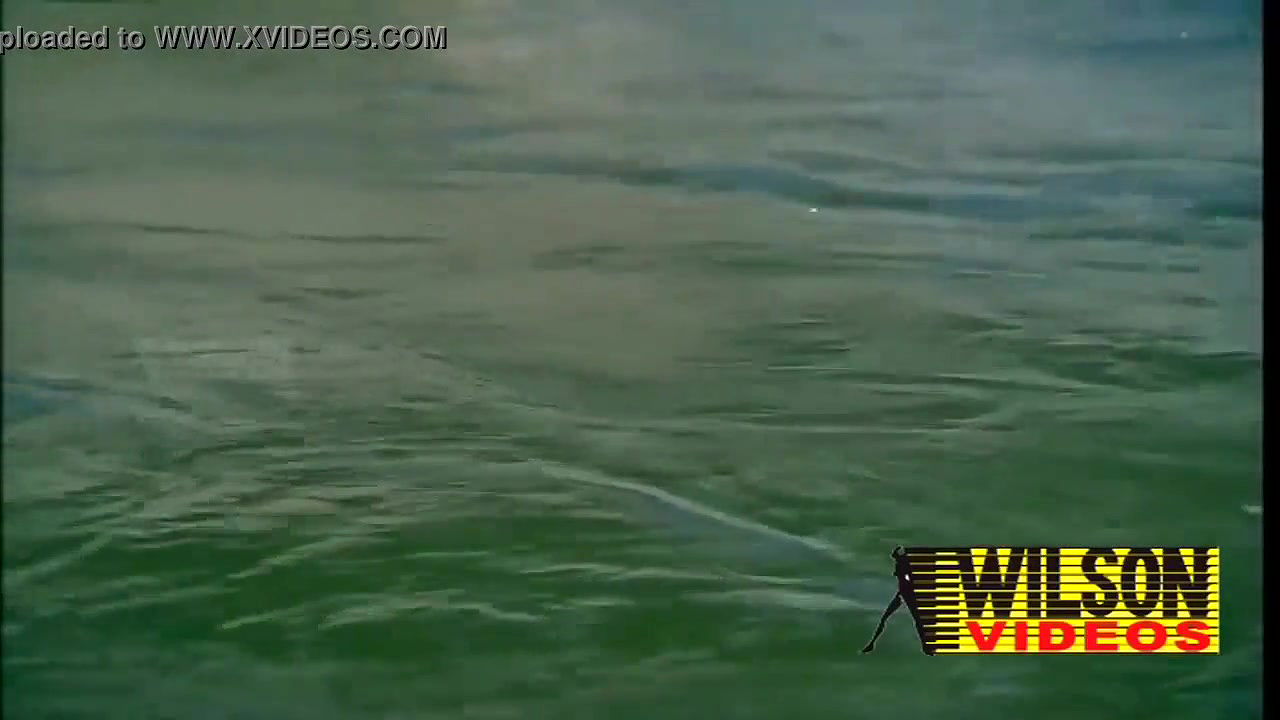 xvideos.com_964dd4d32569f5c0ed4ed21c2676dac4 1