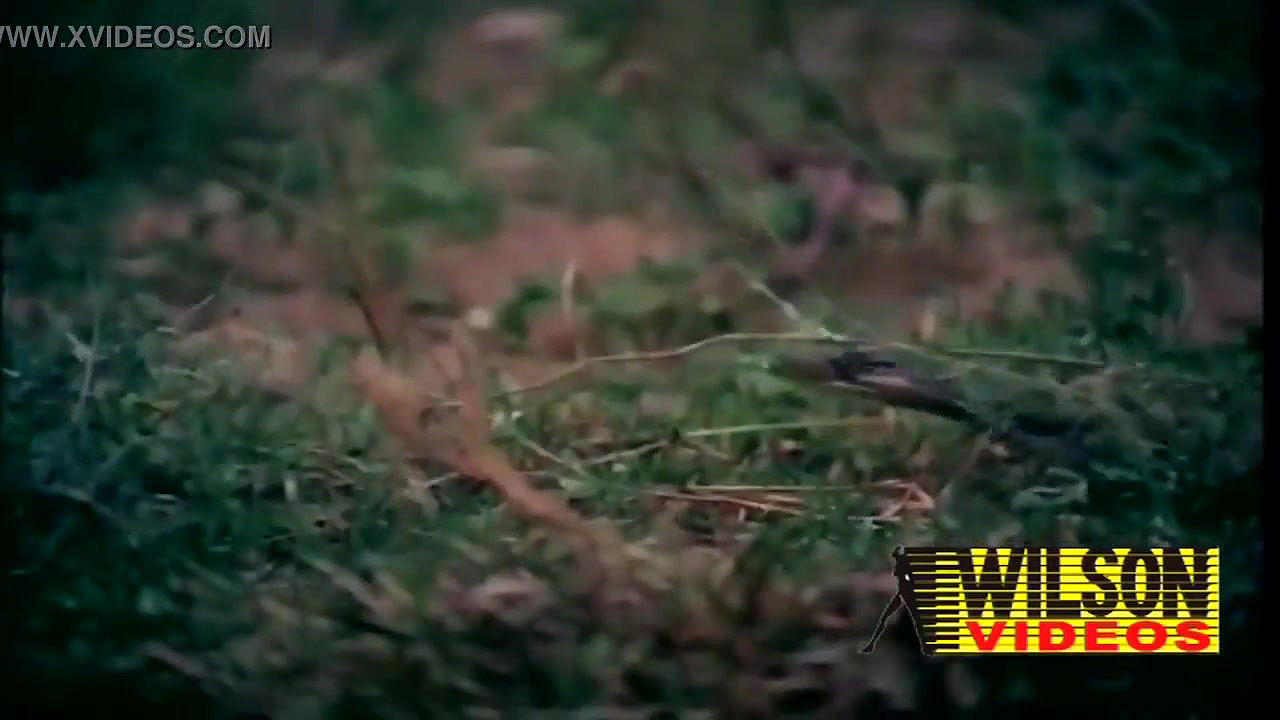 xvideos.com_964dd4d32569f5c0ed4ed21c2676dac4 1