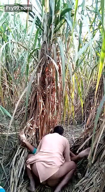sasur bahu fucking in field