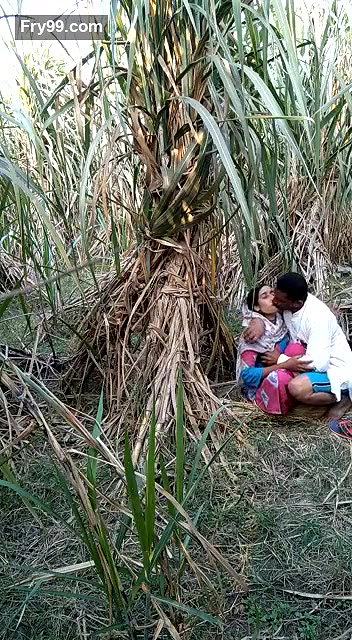 sasur bahu fucking in field