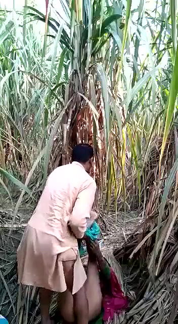 Village girl romance in jungle update