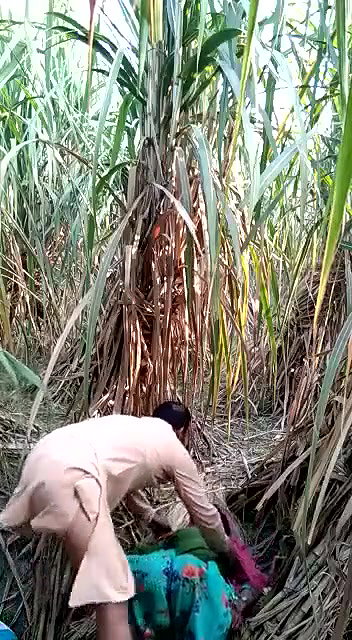 Village girl romance in jungle update