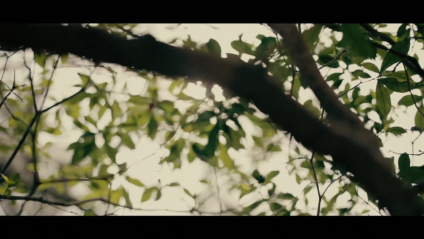 Aditi Rao Hydari’s Vogue.MP4