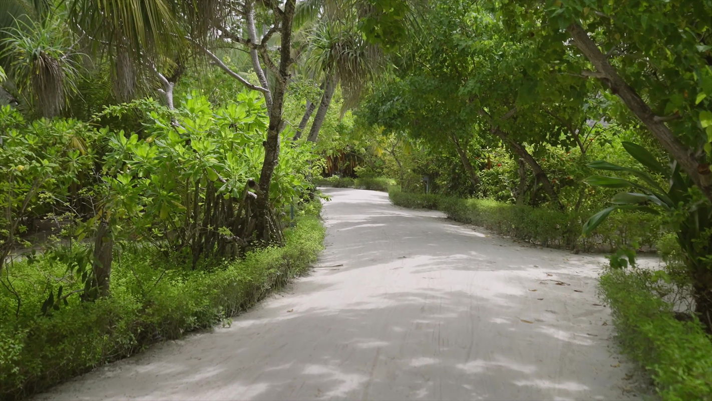 Anany Pandy – Travl Pecok Mag shut.mkv