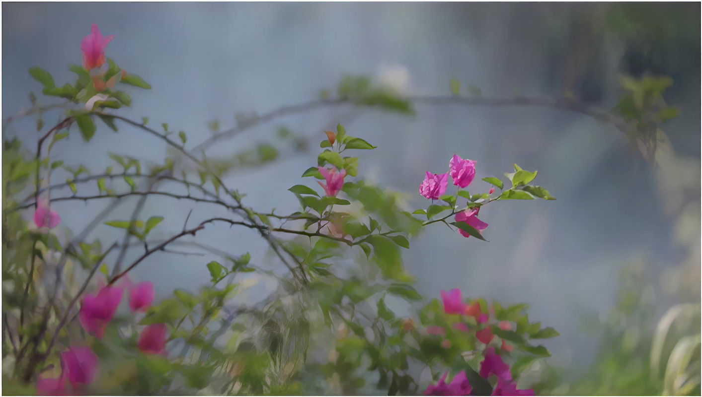Disha Patani For Cosmopolitan May 18  Bts