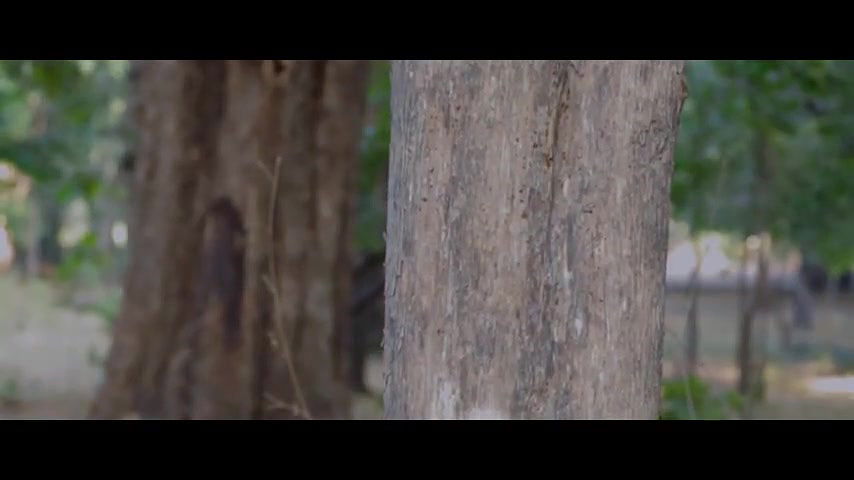 lucky_girl_-1778972870319247343