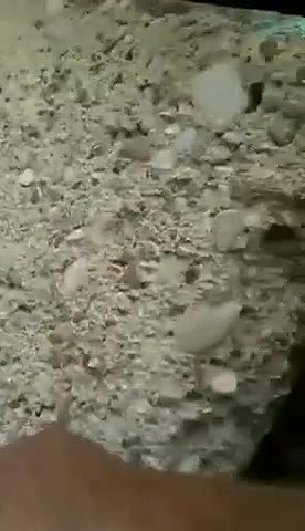 Couple Caught fucking Outdoor