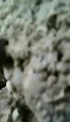 Couple Caught fucking Outdoor