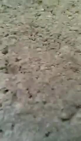 Couple Caught fucking Outdoor