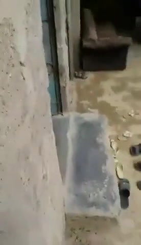 Couple Caught fucking Outdoor