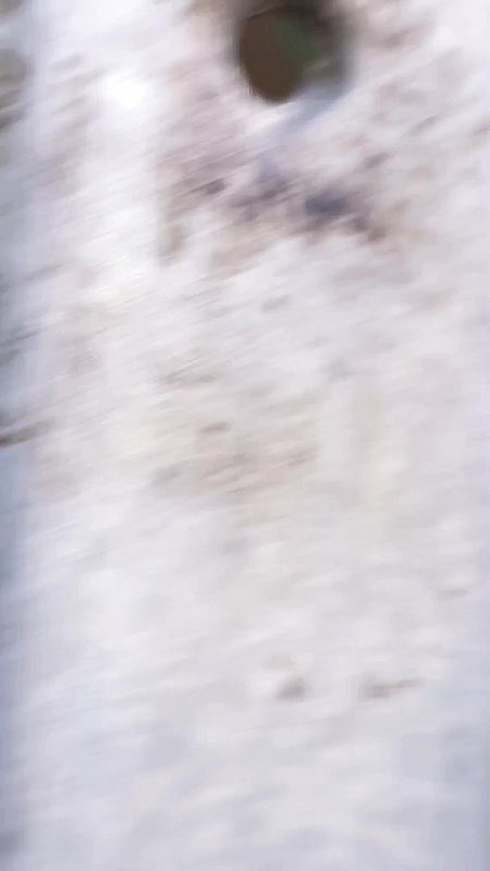 Cute girl kissed and fingered by bf, clear panty show