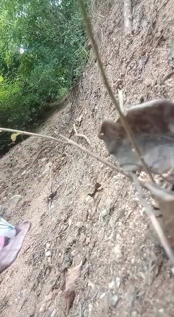 Desi bahbhi Outdoor Fucking