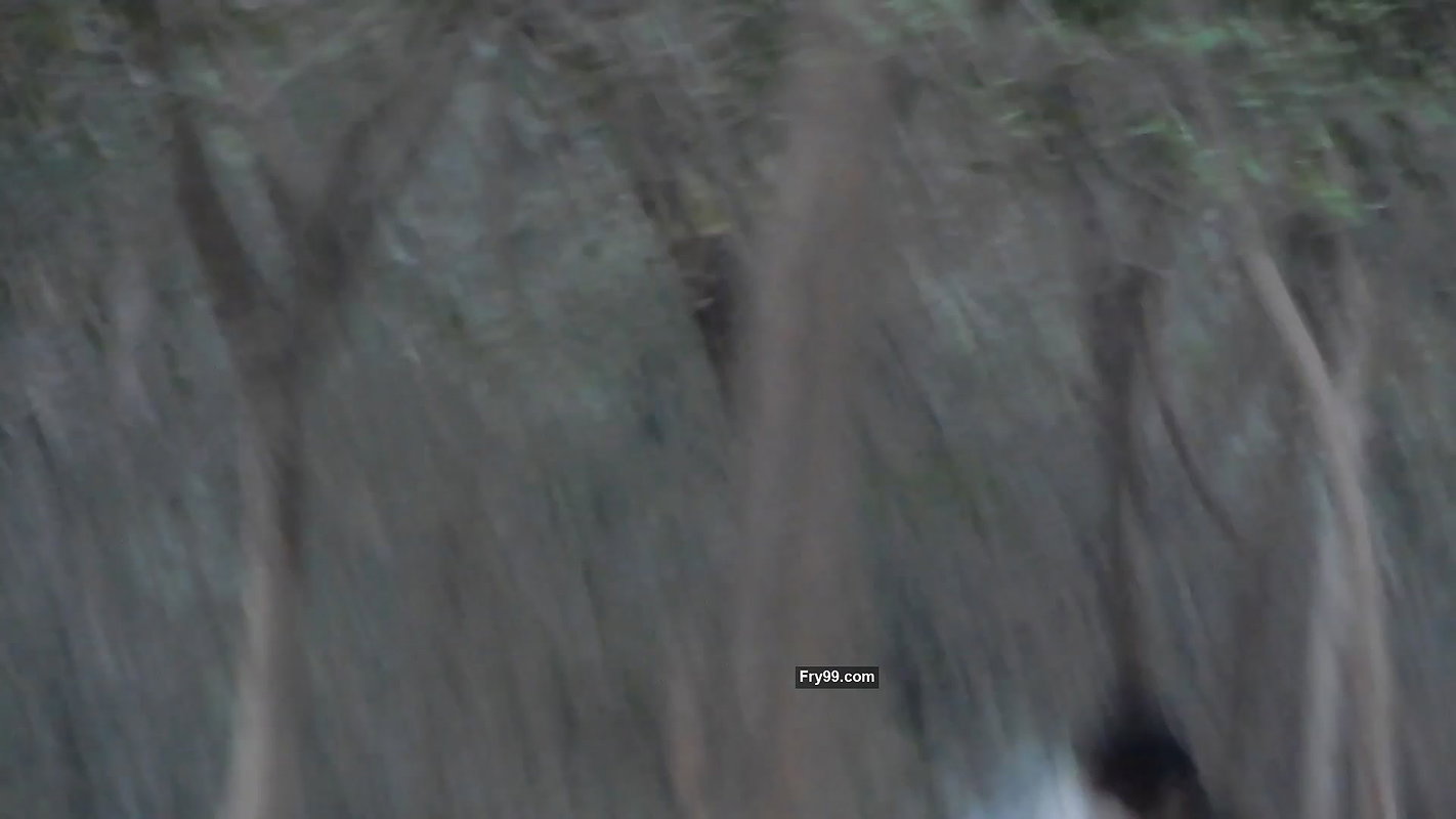 Desi couple smooching non-stop in nearby park – secretly captured.MP4