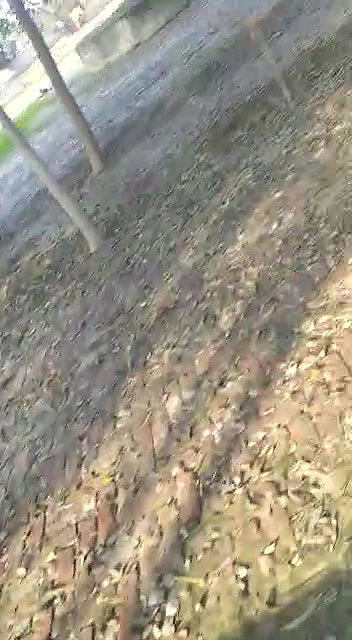 Indian Couple Outdoor Fucked