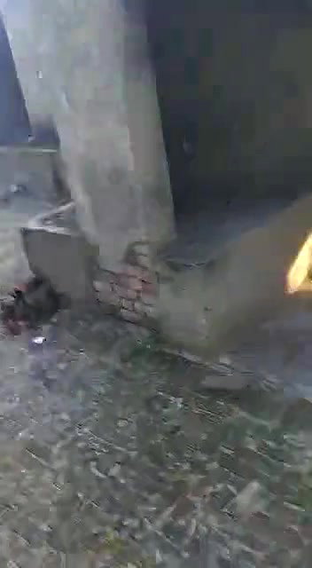 Indian Couple Outdoor Fucked