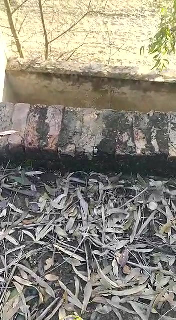 Indian Couple Outdoor Fucked