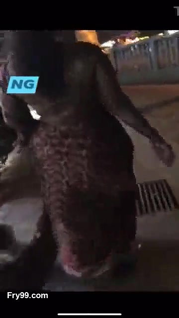 Tamil aunty huge kundi ass shake.flv