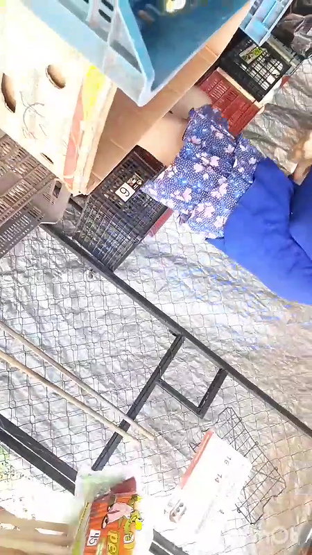 Upskirt capture – ass cheeks and panty visible