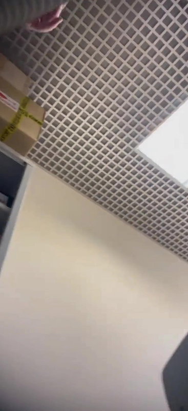 Upskirt transparent panty capture