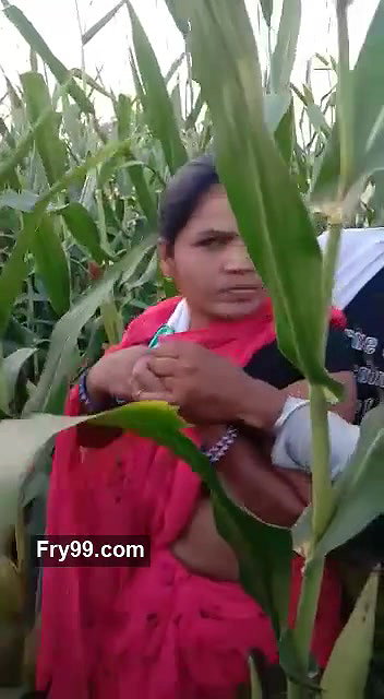 Village Bhabhi Fucked By Young Guy