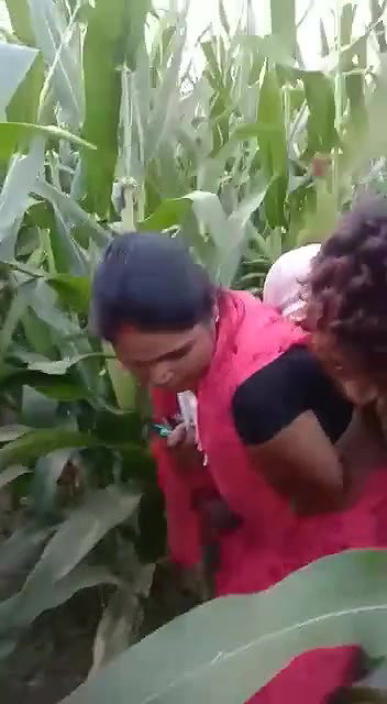 Village Bhabhi Fucked By Young Guy