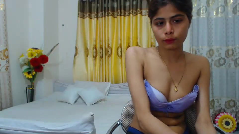 New premium cam collection – 96