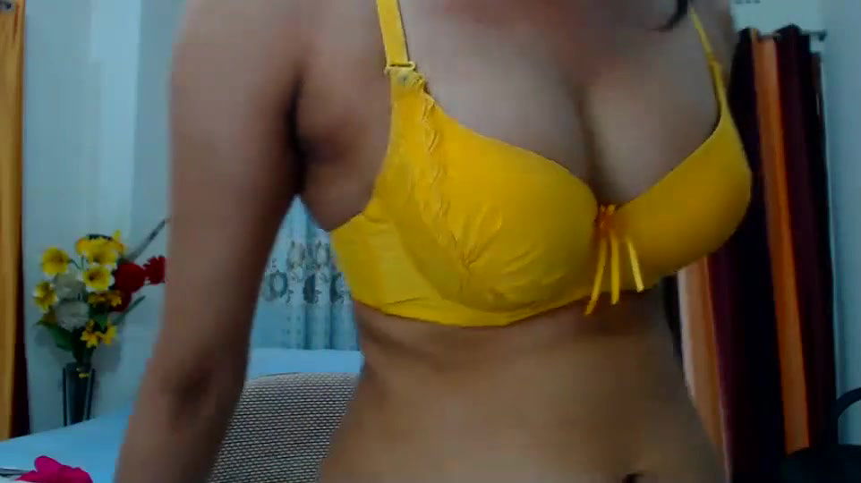 New premium cam collection – 155