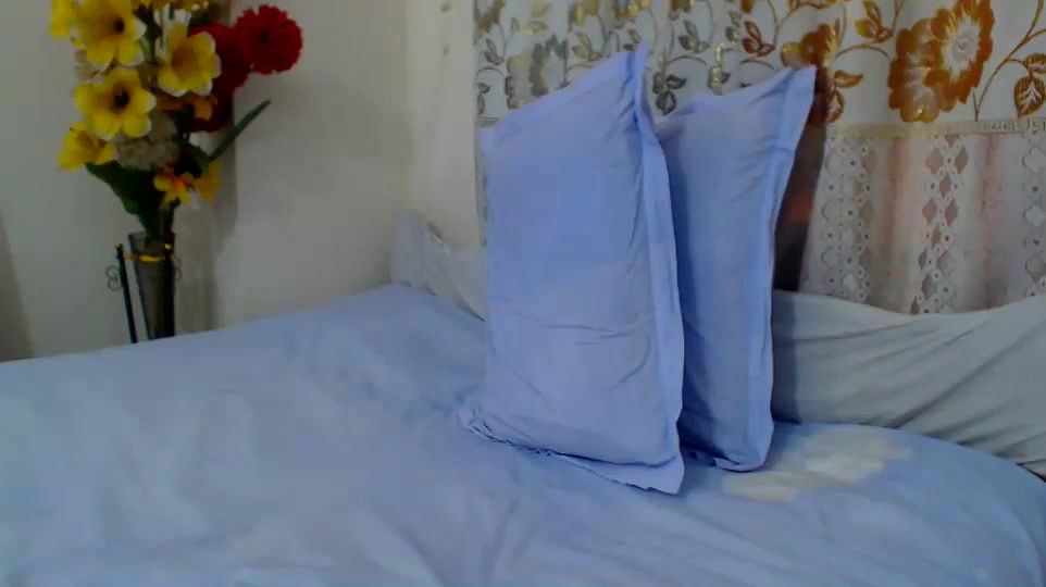 New premium cam collection – 161