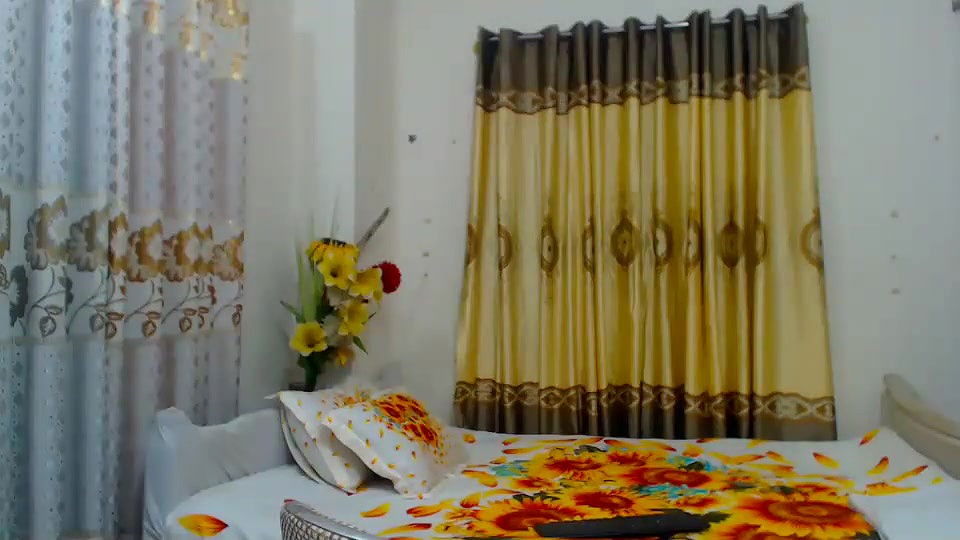 New premium cam collection – 173