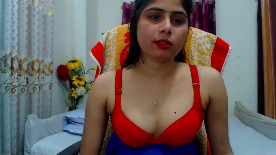 New premium cam collection – 179