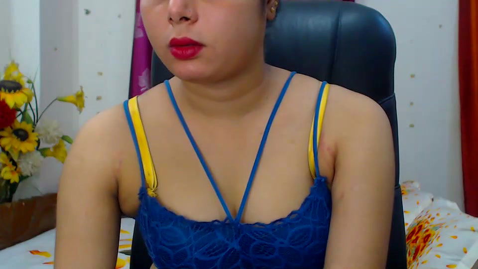 New premium cam collection – 196