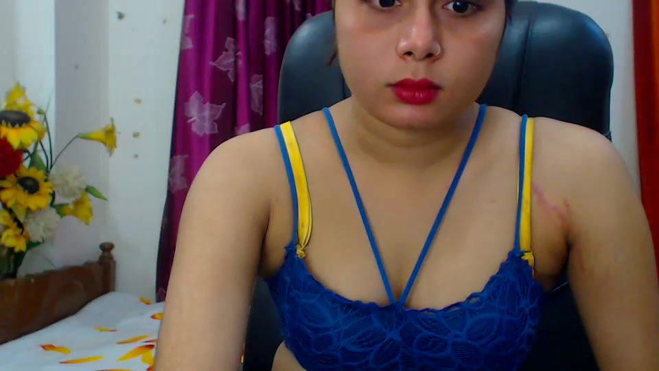 New premium cam collection – 196