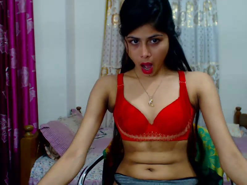 New premium cam collection – 225