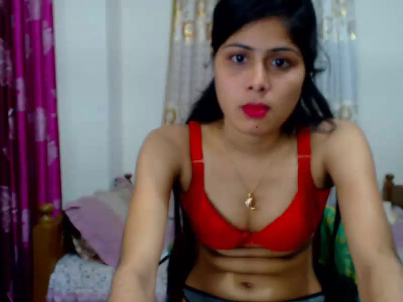 New premium cam collection – 225