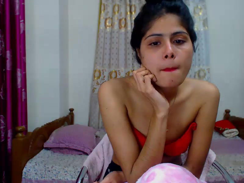 New premium cam collection – 231