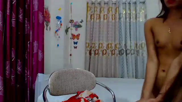 New premium cam collection – 243