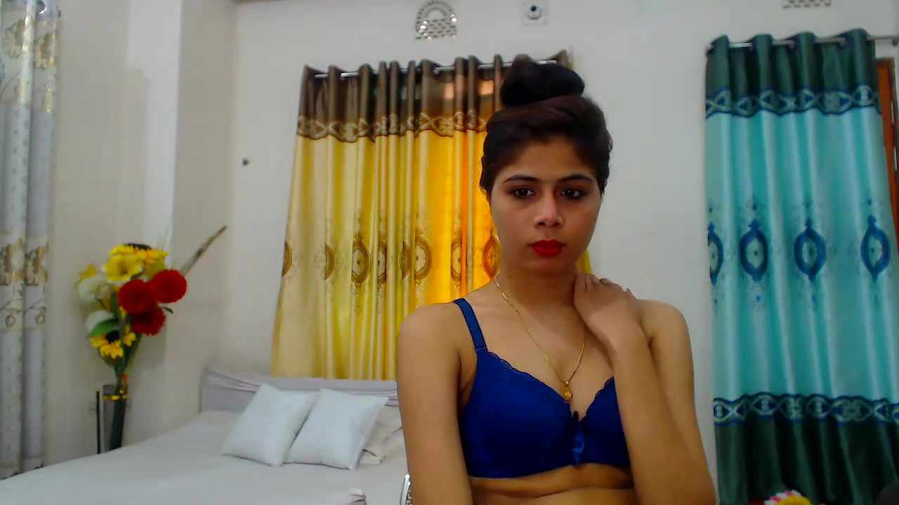 New premium cam collection – 271