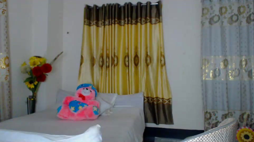 New premium cam collection – 282