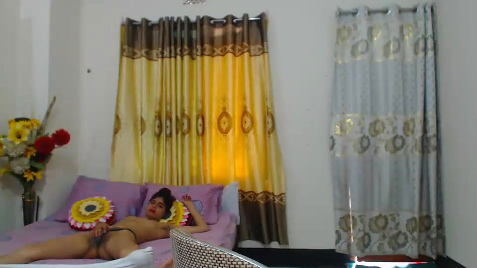 New premium cam collection – 285