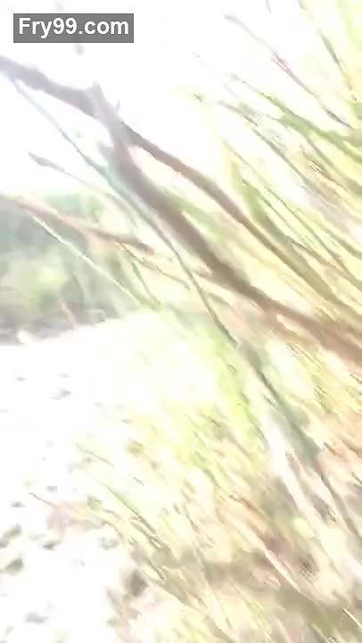 Desi couple fucking on field