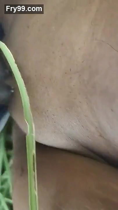 Desi couple fucking on field