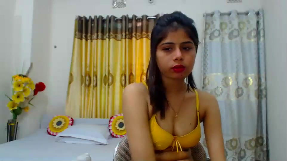 New premium cam collection – 291